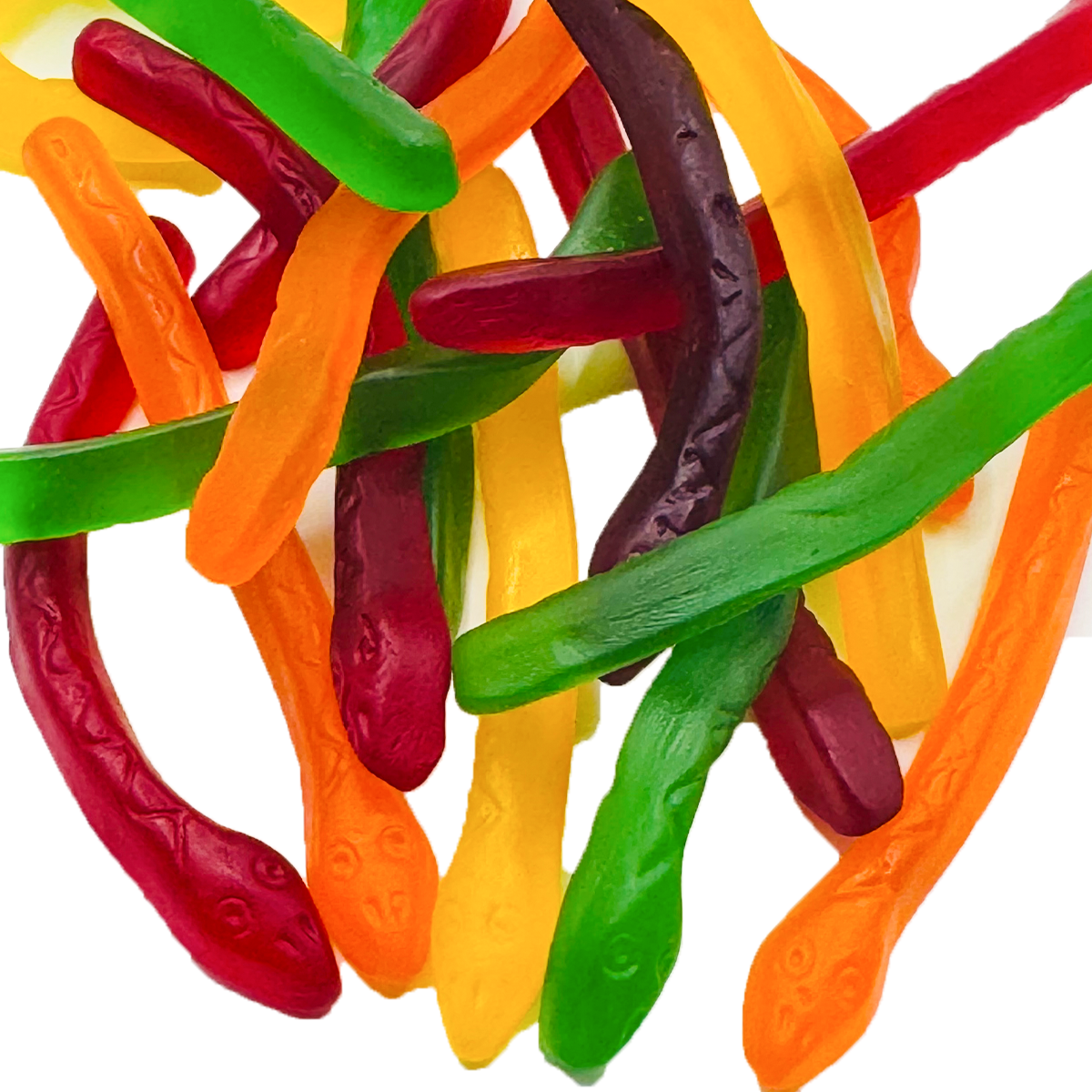 Paloma Gummy Snakes